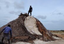 රටේම ලුණු හිඟ වෙද්දී රටටම ලුණු බෙදපු අලිමංකඩට මොකද වුණේ?