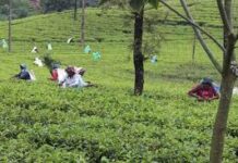 ජන.01 පොරොන්දු 03ක් කඩයි : ආණ්ඩුව විනය ගැන ප්රතිඥා දෙයි !