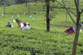 ජන.01 පොරොන්දු 03ක් කඩයි : ආණ්ඩුව විනය ගැන ප්‍රතිඥා දෙයි !