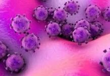 2014 – 2018 – 2020 : සජීවී සෛලවල වැඩෙන මාරාන්තික වෛරසයක් !