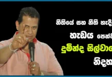 නීතියේ සහ නීති හැදීමේ හැඩය පෙන්වන දුමින්ද සිල්වාගේ නිදහස