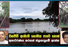 වනජීවී ඇමැති නොගිය පාරේ ගොස් MediaLK අනාවරණය කරගත් ජලගැලුමේ ඇත්ත !