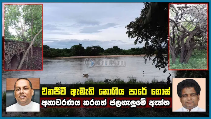 වනජීවී ඇමැති නොගිය පාරේ ගොස් MediaLK අනාවරණය කරගත් ජලගැලුමේ ඇත්ත !