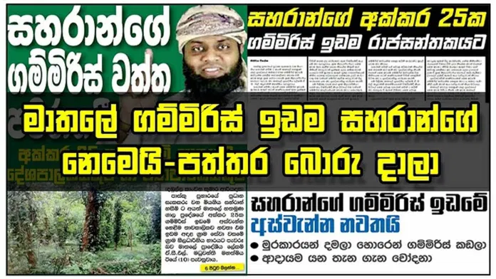 මාතලේ ගම්මිරිස් ඉඩම සහරාන්ගේ නෙමෙයි : පත්තර බොරු දාලා